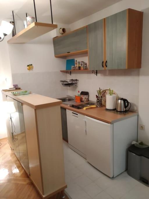 Alex Apartment Zemun Exteriör bild